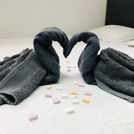 Daire Tussen Gracht En Sintjan *